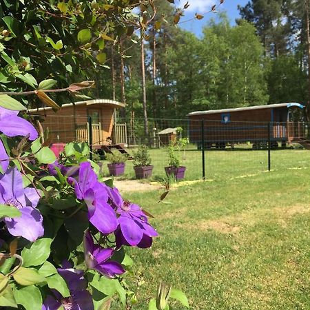 Roulottes Du Chalet Des Pins Rougeou エクステリア 写真