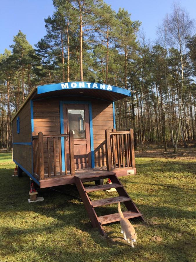 Roulottes Du Chalet Des Pins Rougeou エクステリア 写真