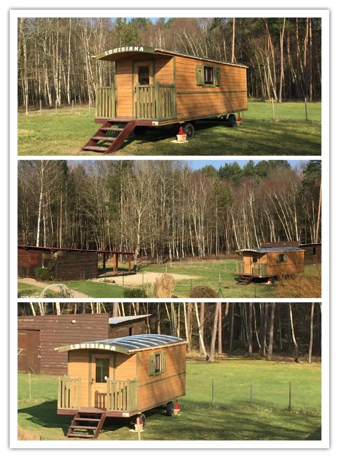 Roulottes Du Chalet Des Pins Rougeou エクステリア 写真