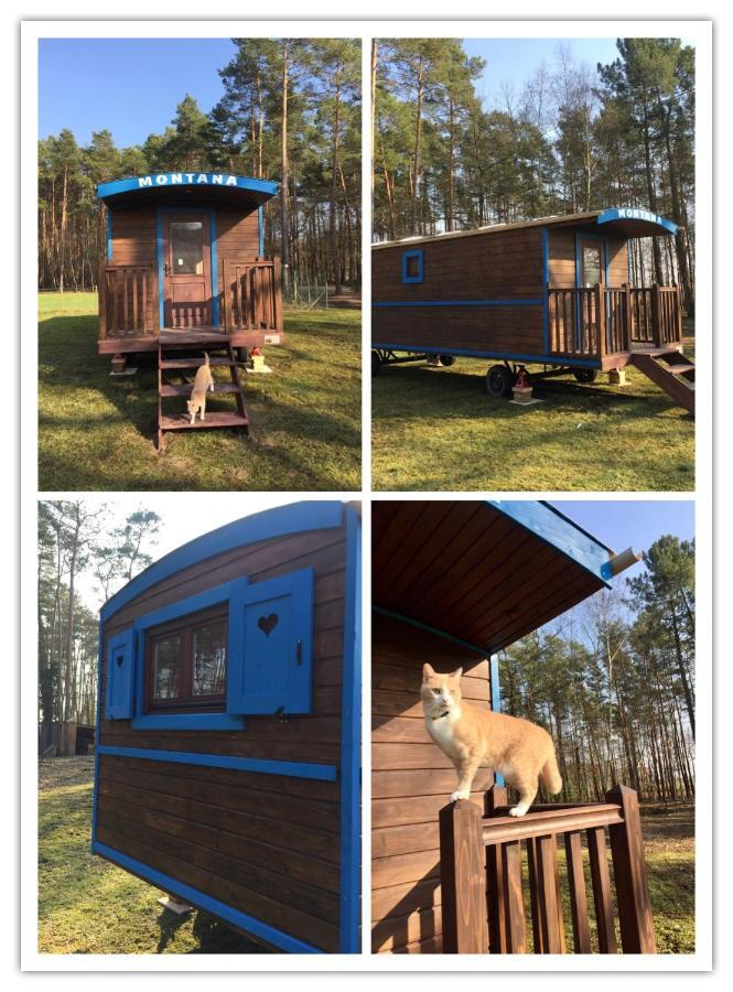 Roulottes Du Chalet Des Pins Rougeou エクステリア 写真