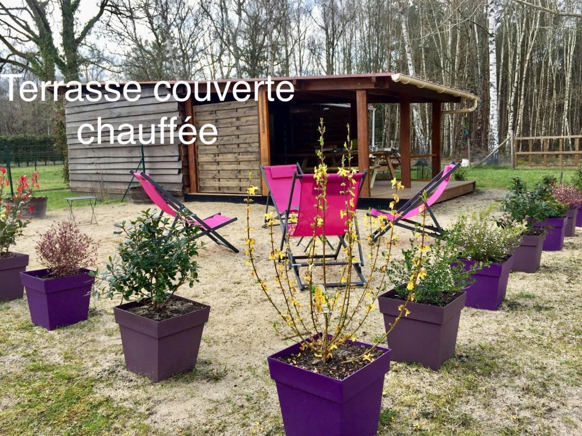 Roulottes Du Chalet Des Pins Rougeou エクステリア 写真
