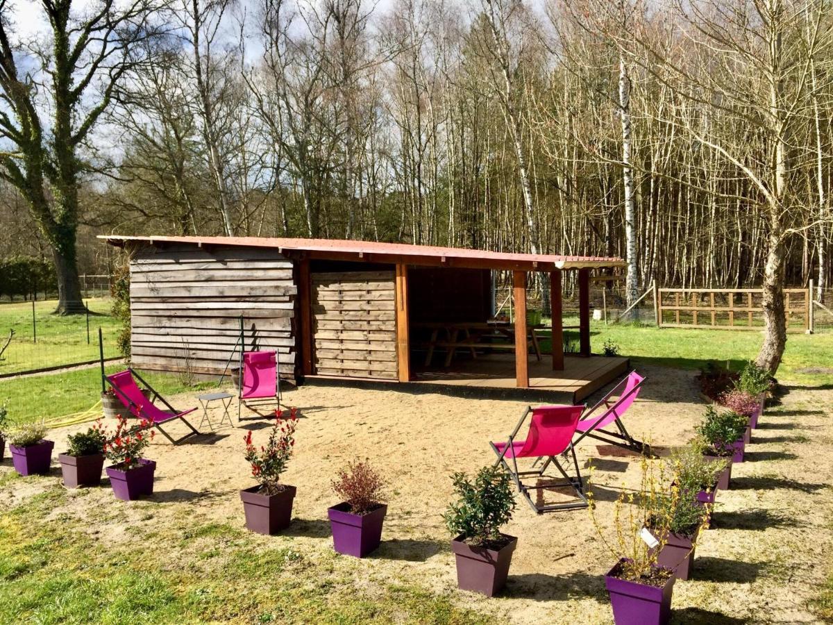 Roulottes Du Chalet Des Pins Rougeou エクステリア 写真