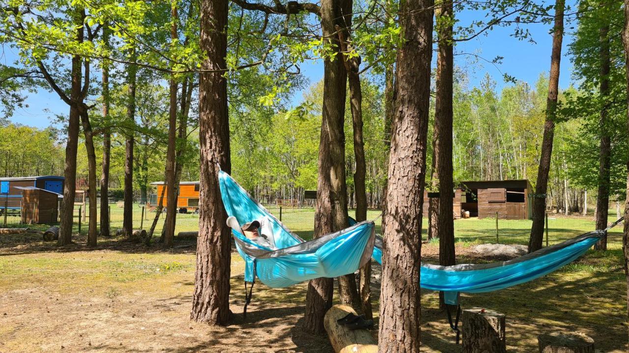 Roulottes Du Chalet Des Pins Rougeou エクステリア 写真